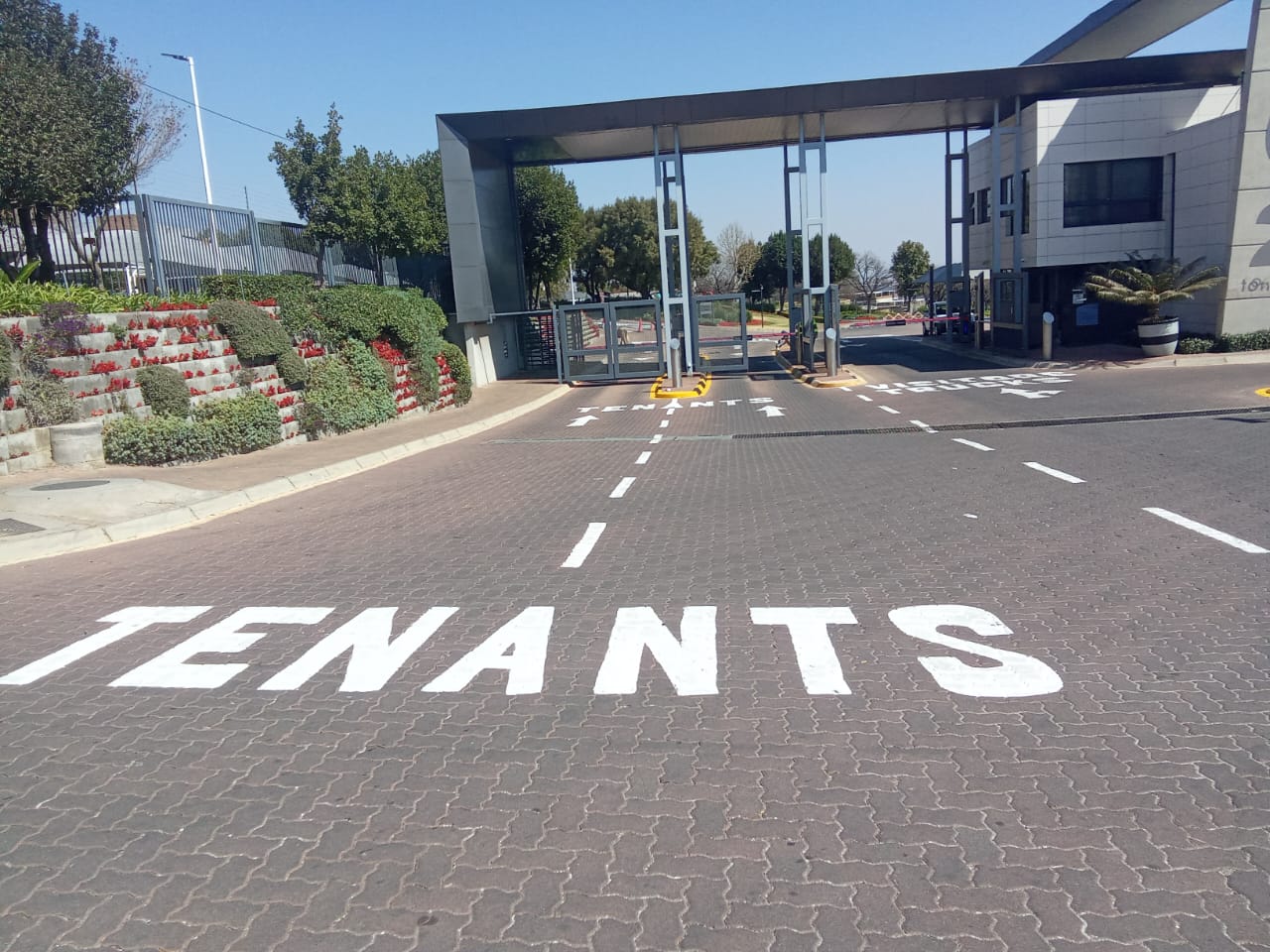 Entrance roadway with freshly painted TENANTS road markings and directional arrows